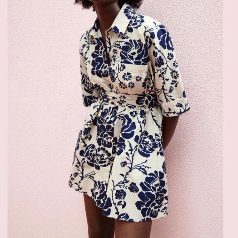 ZARA The Lory Dress